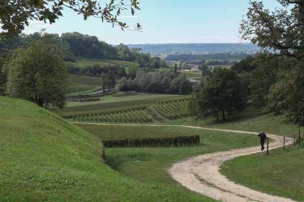  Les vignobles du bordelais