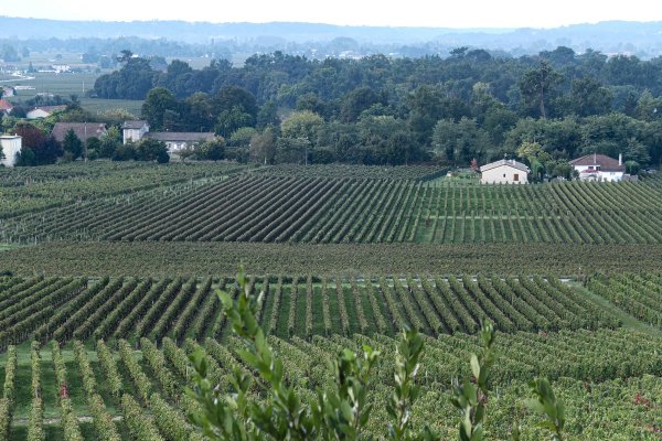  Les vignobles du bordelais