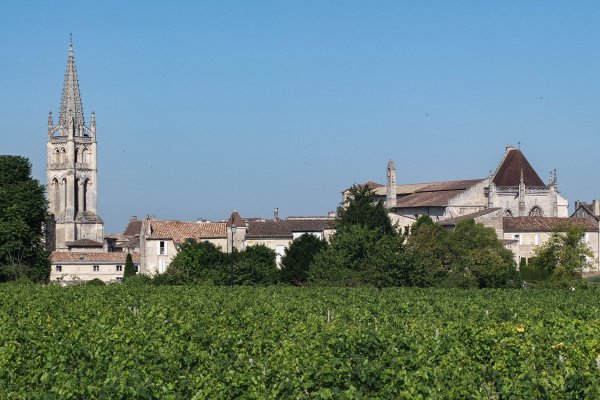  Les vignobles du bordelaise